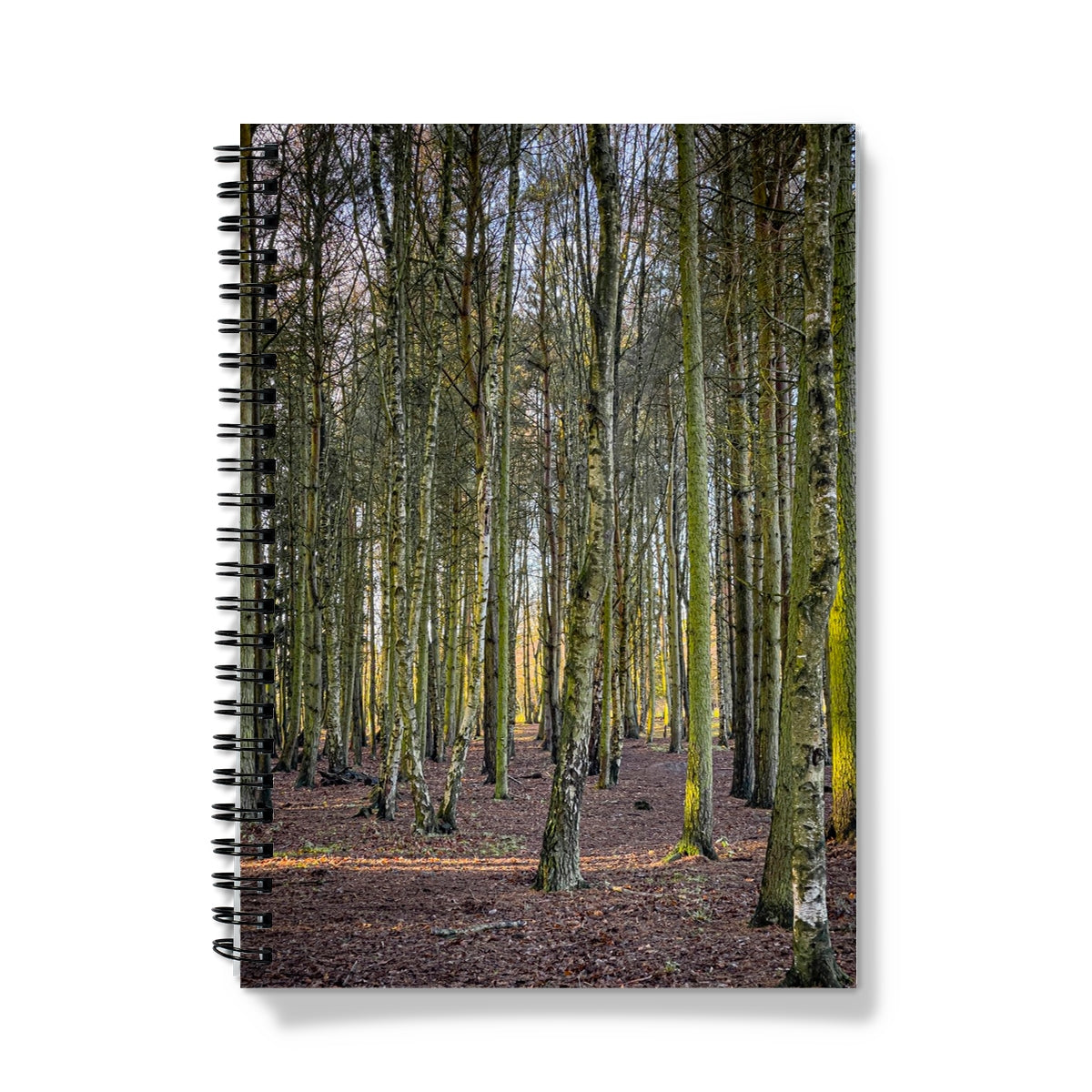 image1