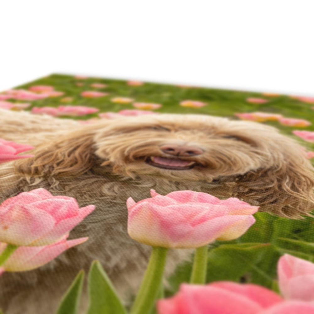 image0