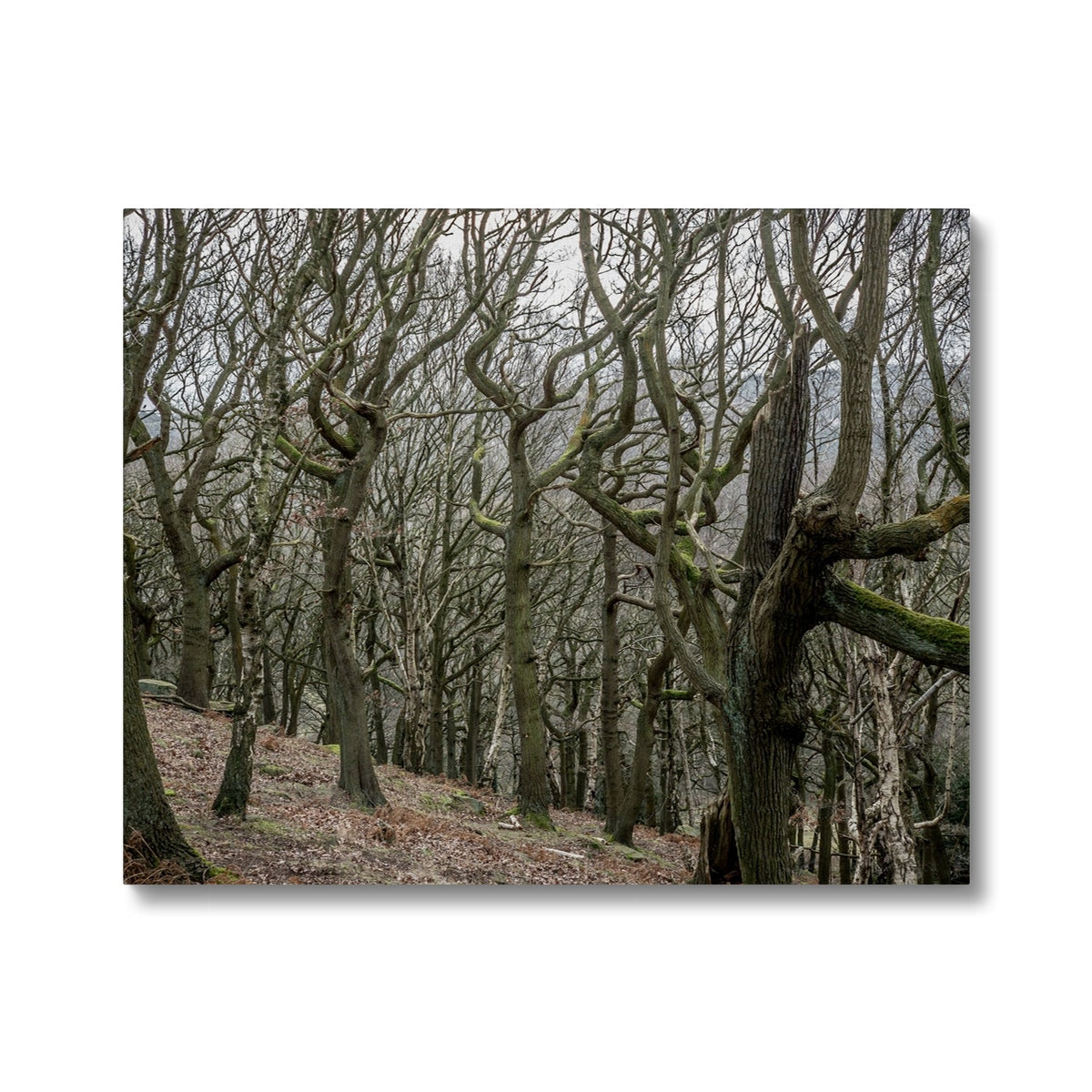 image0