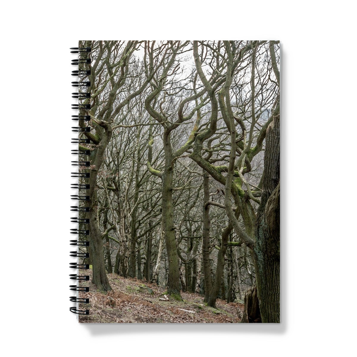 image3