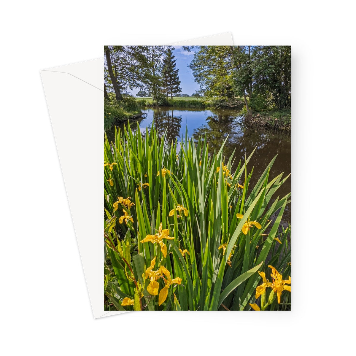 image1