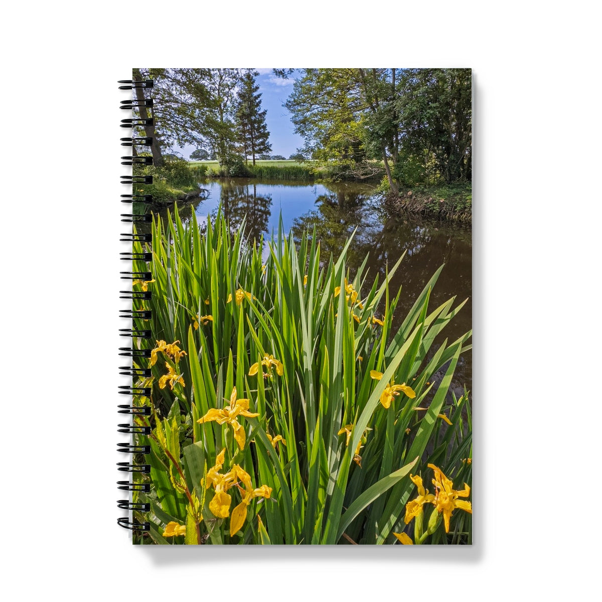 image1