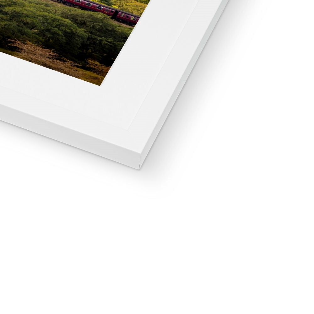 Steam Train: LNER Thompson Class B1 No. 1264  on the North Yorkshire Moors in summer. UK Framed & Mounted Print