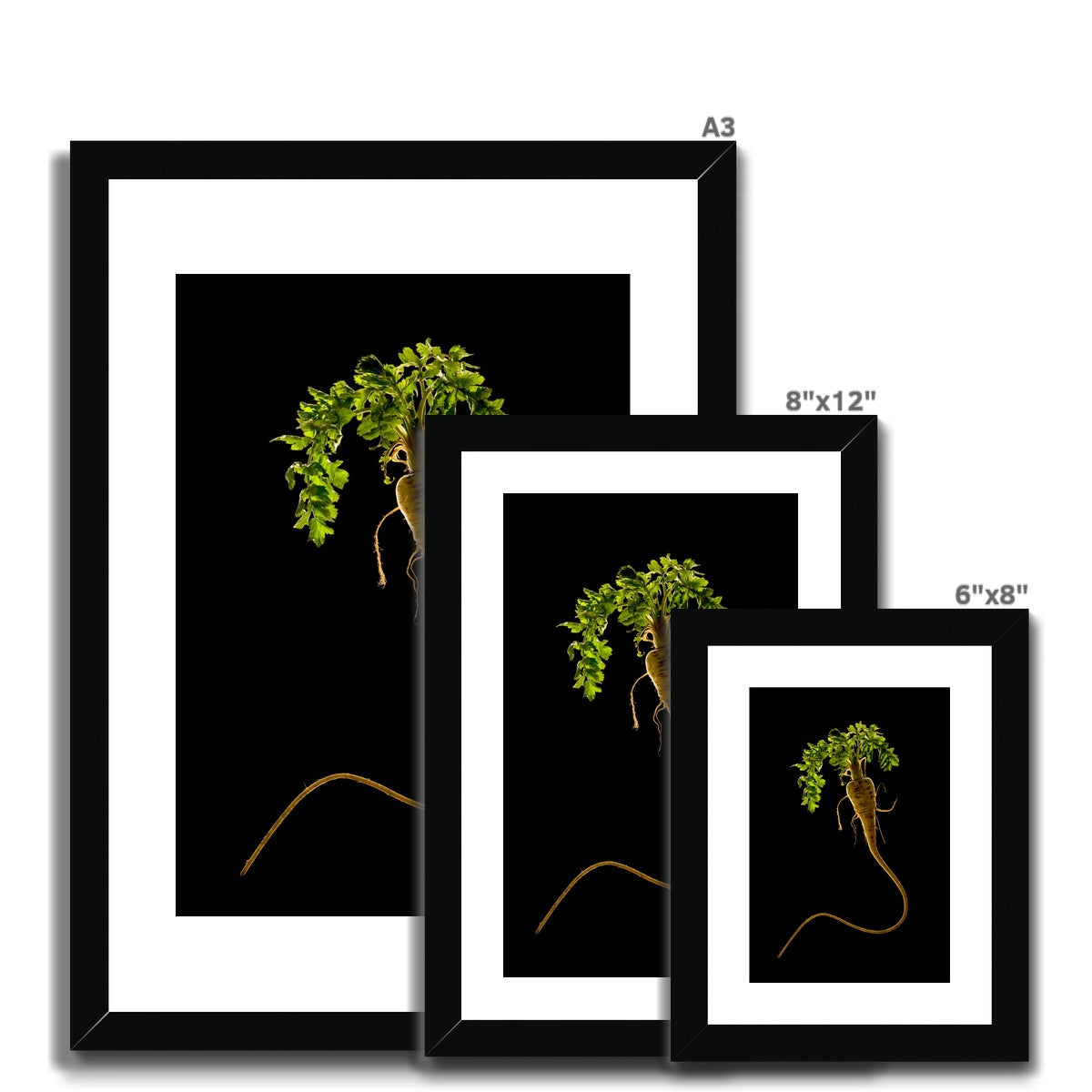 Quirky Parsnip Framed & Mounted Print