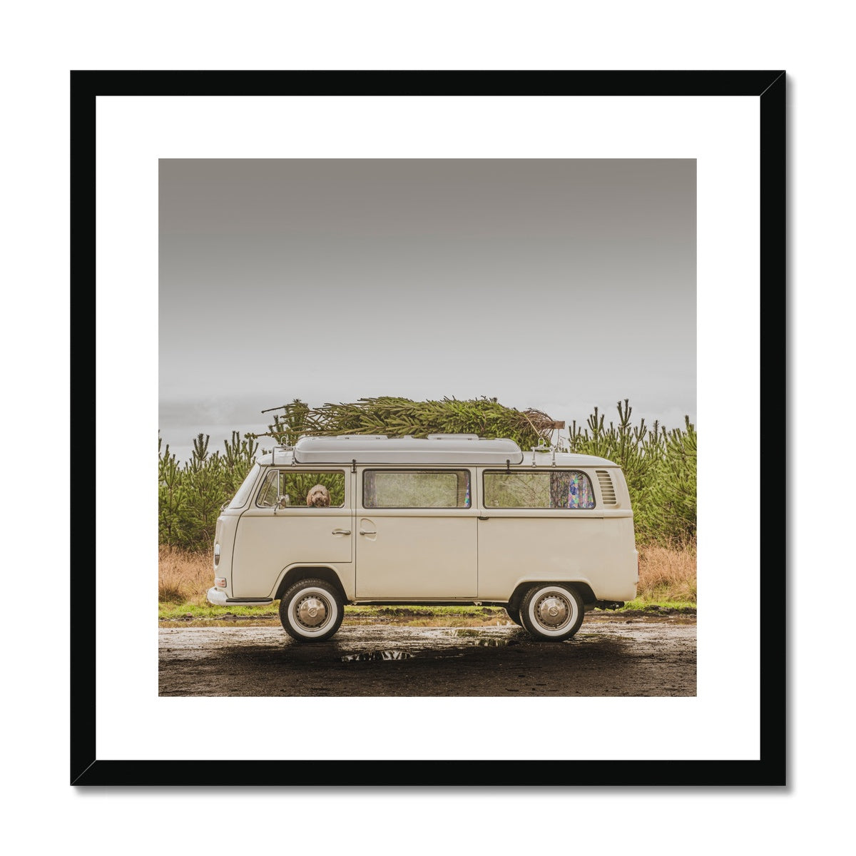 1972 VW Bay Window Campervan parked with with Christmas tree on roof and Cockapoo dog looking out of window. Framed & Mounted Print