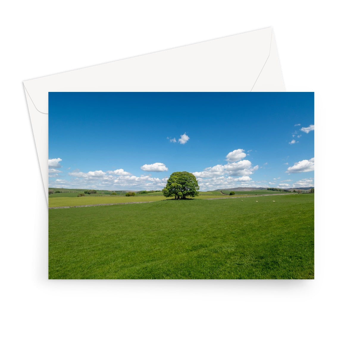 Single Tree, Yorkshire Dales Landscape Greeting Card