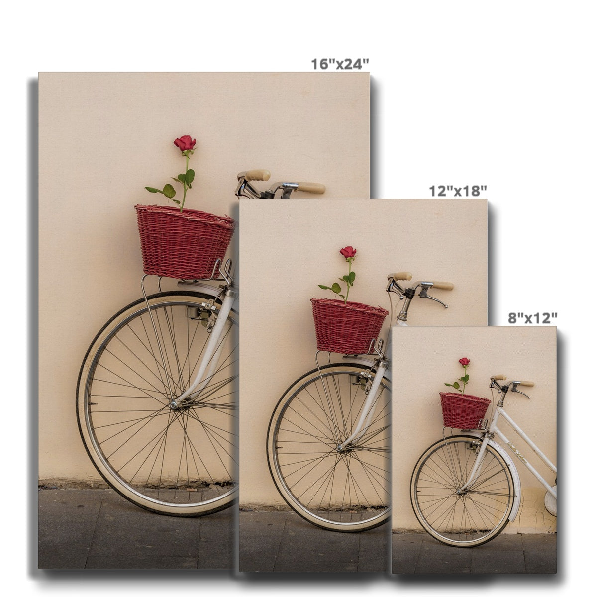 White bicycle parked against a  rendered wall with a red rose in its basket, Rome, Italy. Canvas