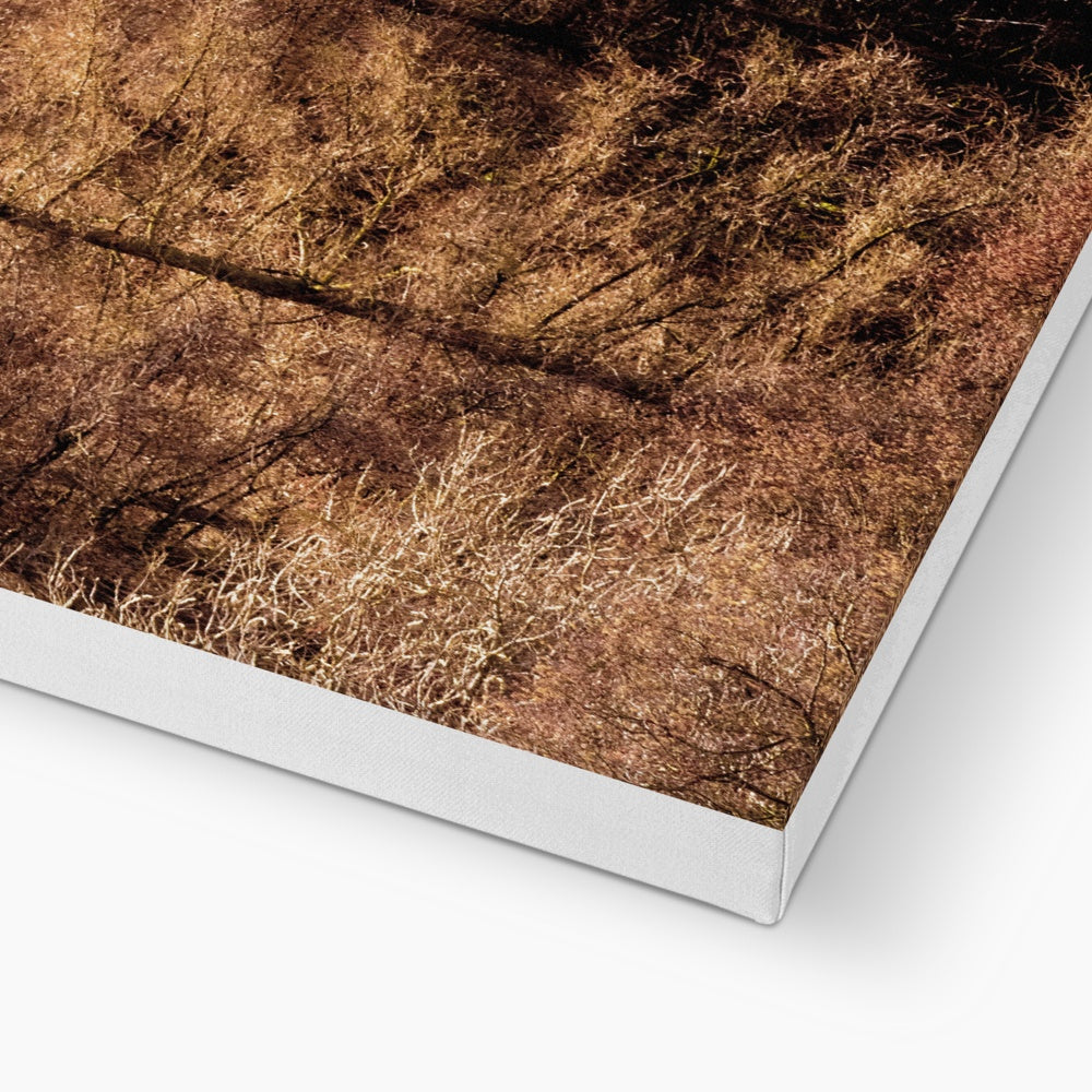 Winter trees Canvas