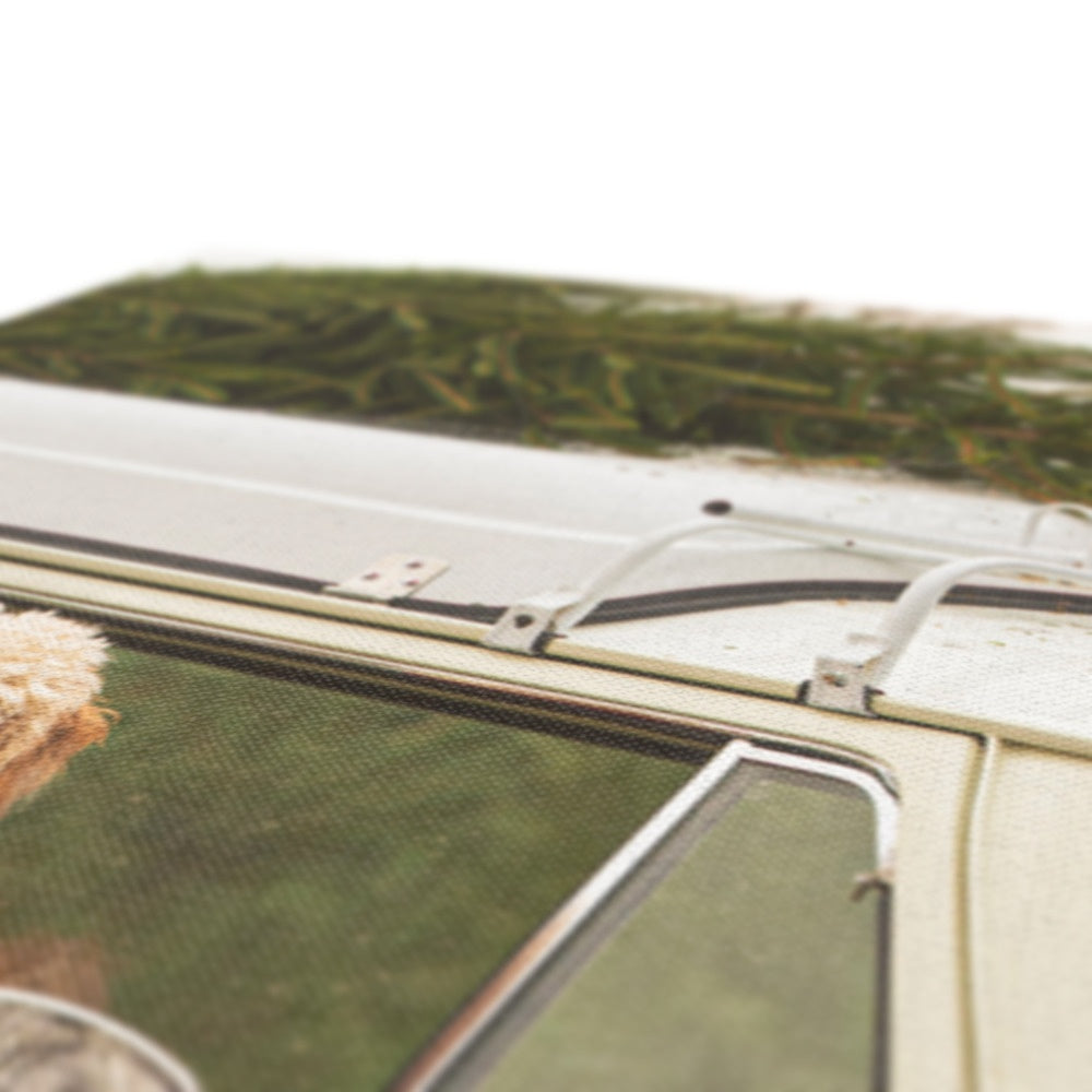 1972 VW Bay Window Campervan parked with with Christmas tree on roof and Cockapoo dog looking out of window. Canvas