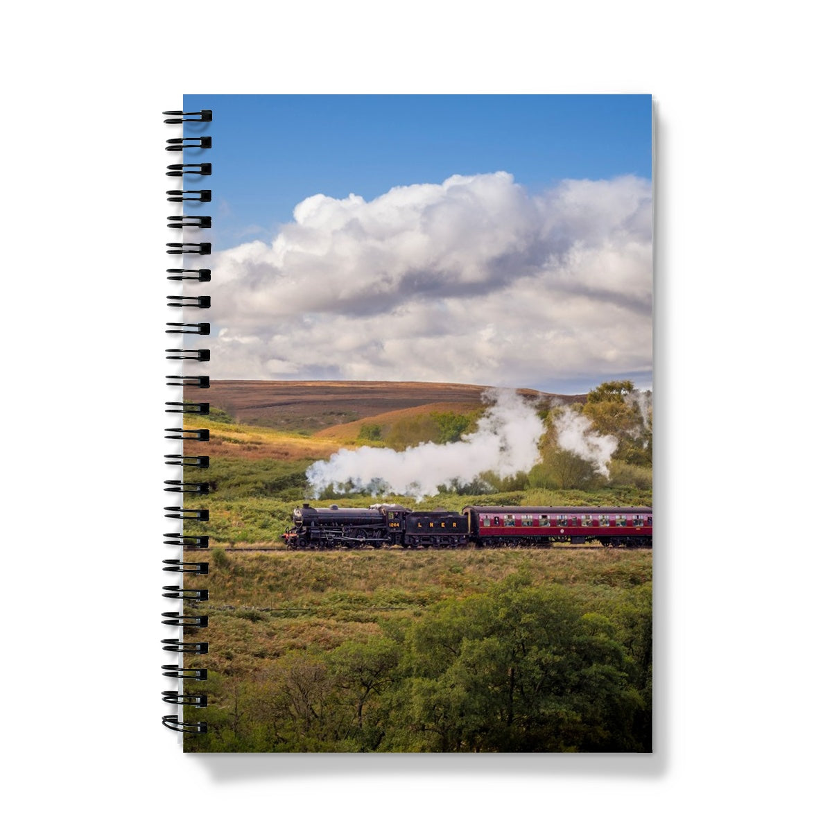 Steam Train: LNER Thompson Class B1 No. 1264  on the North Yorkshire Moors in summer. UK Notebook
