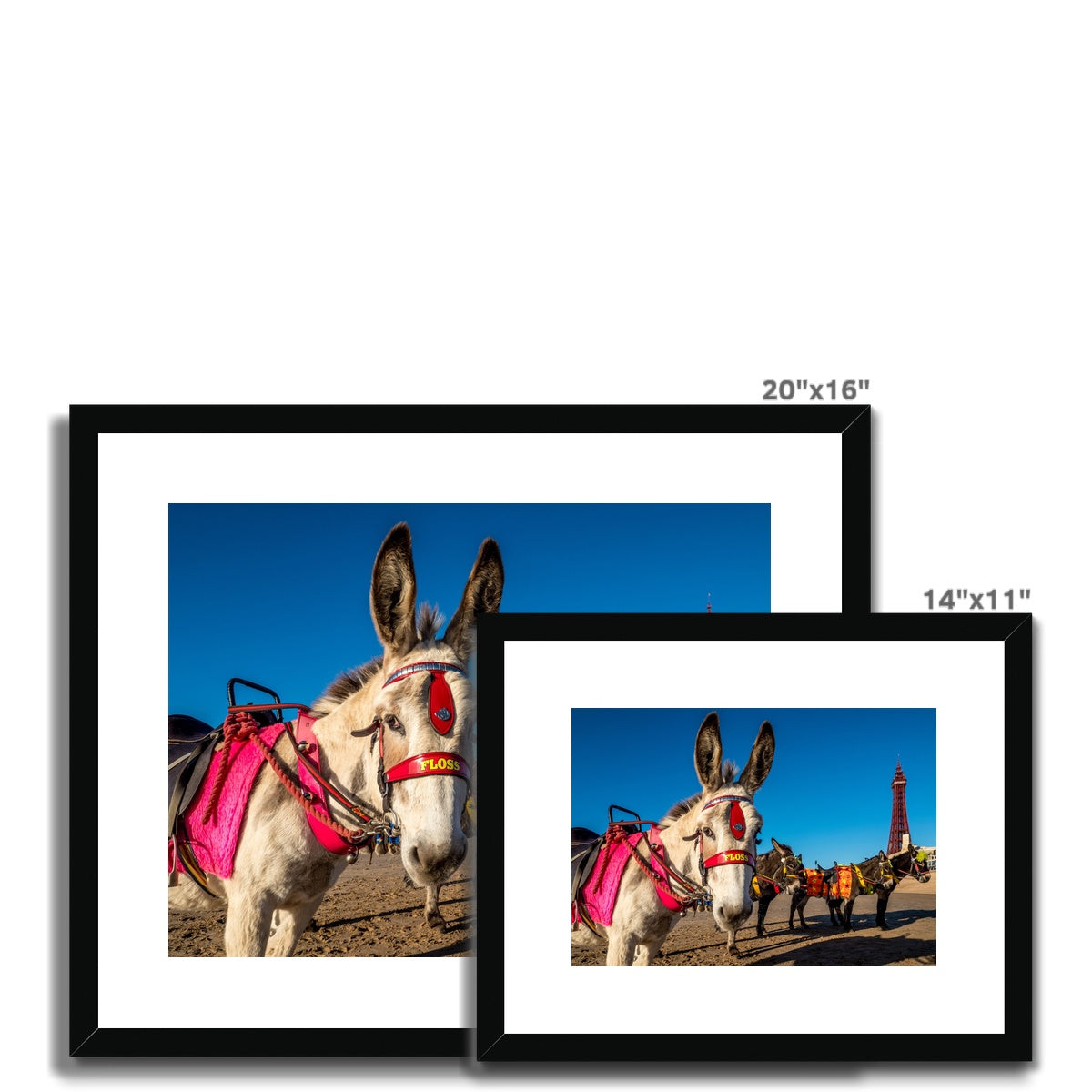 Donkeys on beach with Blackpool Tower Framed & Mounted Print