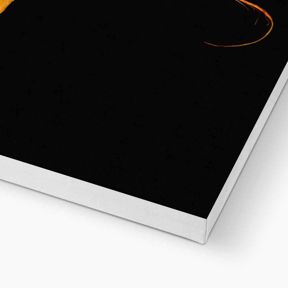 Carrot and Doughnut dilemma!  Canvas