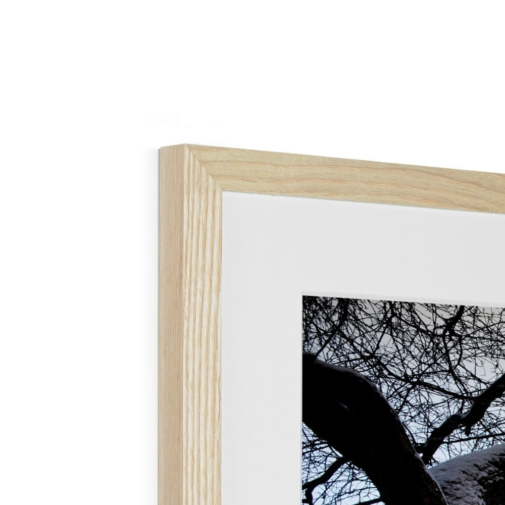 St Williams College York in snow. UK Framed & Mounted Print
