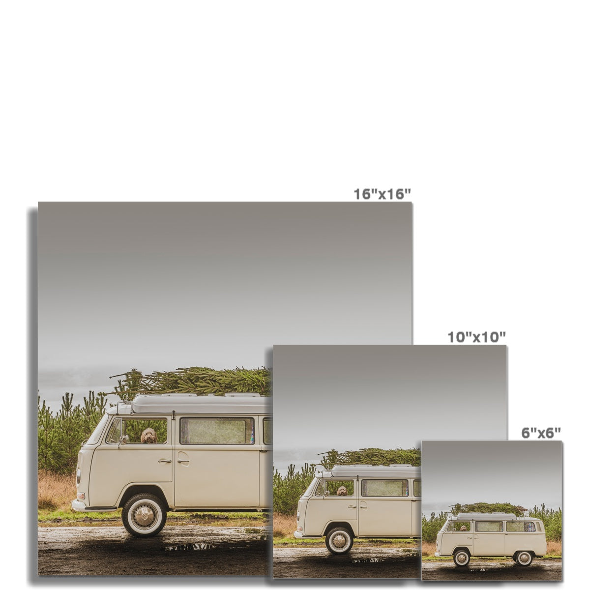 1972 VW Bay Window Campervan parked with with Christmas tree on roof and Cockapoo dog looking out of window. Fine Art Print