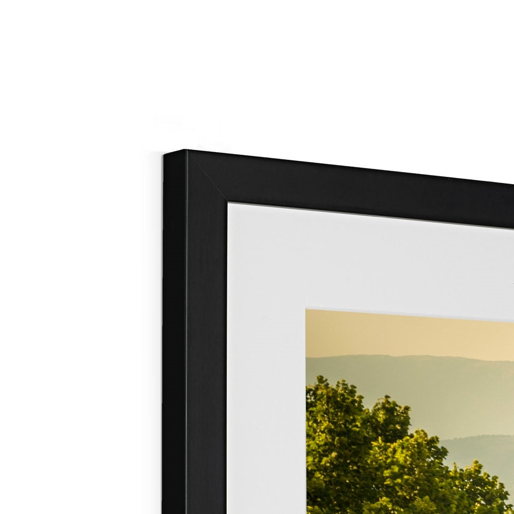 The south façade of Florence Cathedral glimpsed through the trees of San Miniato al Monte.  Italy. Framed & Mounted Print