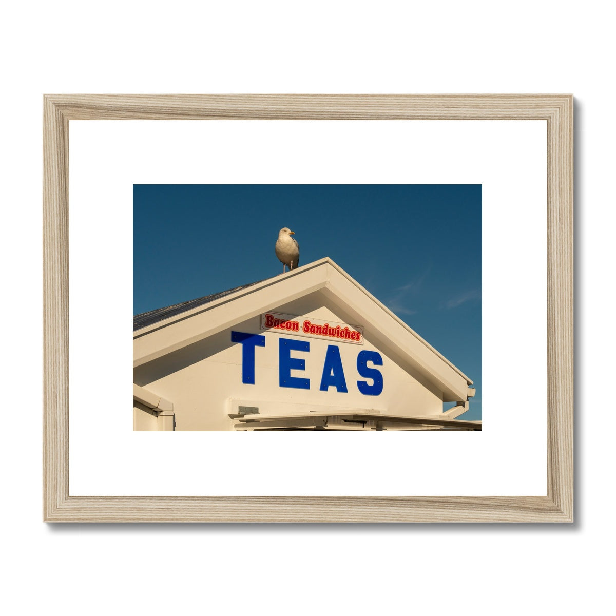 Seagull sitting on the roof of a catering kiosk selling tea and bacon sandwiches, Whitby, UK. Framed & Mounted Print