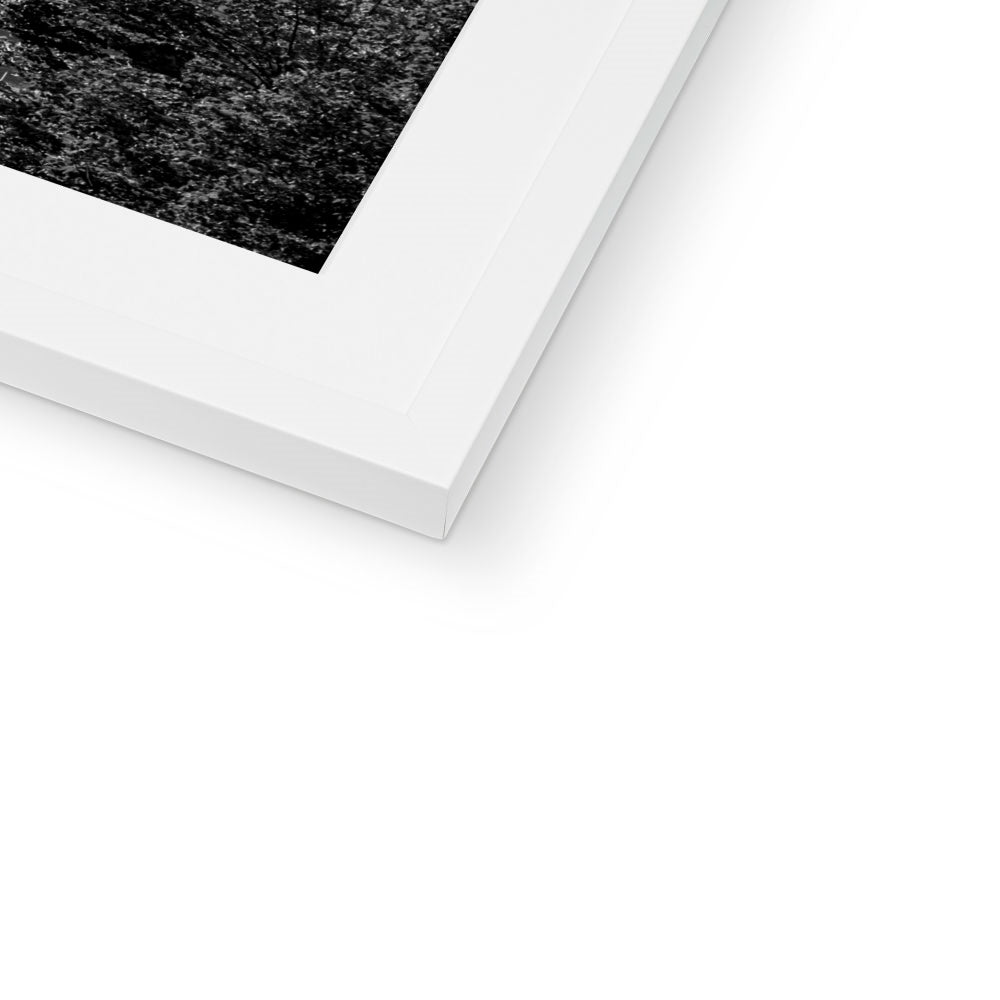 The south façade of Florence Cathedral glimpsed through the trees of San Miniato al Monte. Italy.  Framed & Mounted Print