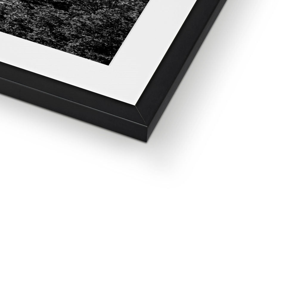 The south façade of Florence Cathedral glimpsed through the trees of San Miniato al Monte. Italy.  Framed & Mounted Print