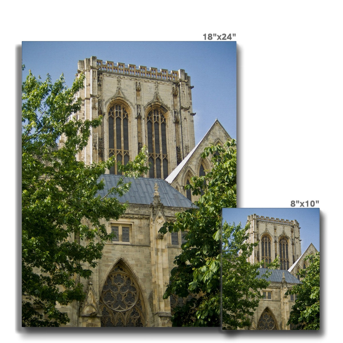 York Minster seen from Dean's Park, York, North Yorkshire, UK Canvas