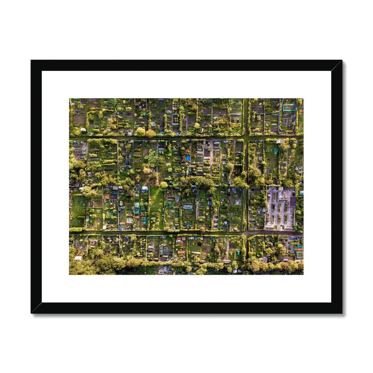 Aerial view of allotments Framed & Mounted Print