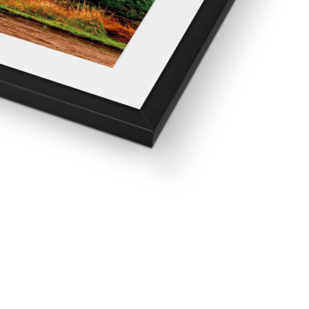 1972 VW Bay Window Campervan parked with with Christmas tree on roof. Framed & Mounted Print