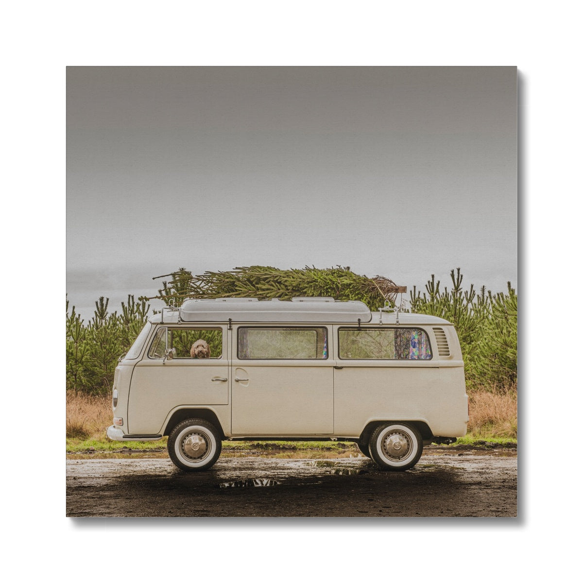 1972 VW Bay Window Campervan parked with with Christmas tree on roof and Cockapoo dog looking out of window. Canvas