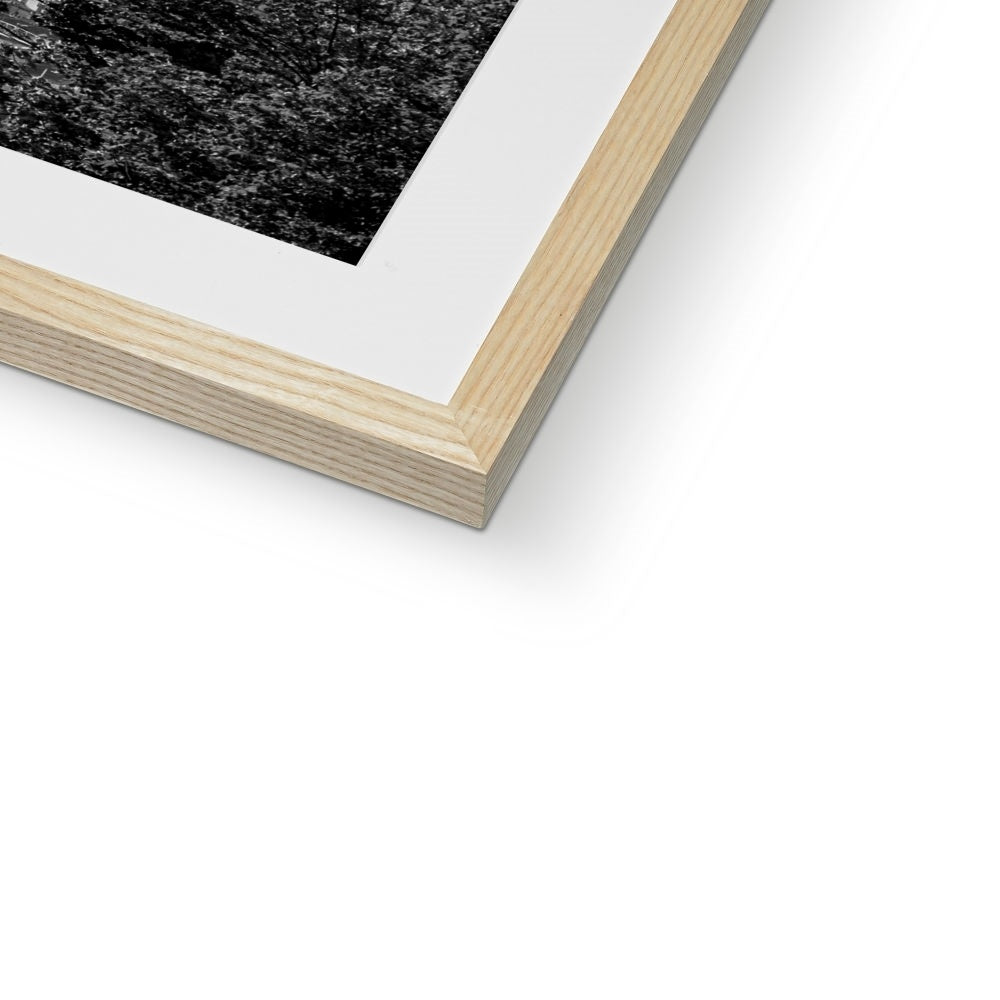 The south façade of Florence Cathedral glimpsed through the trees of San Miniato al Monte. Italy.  Framed & Mounted Print