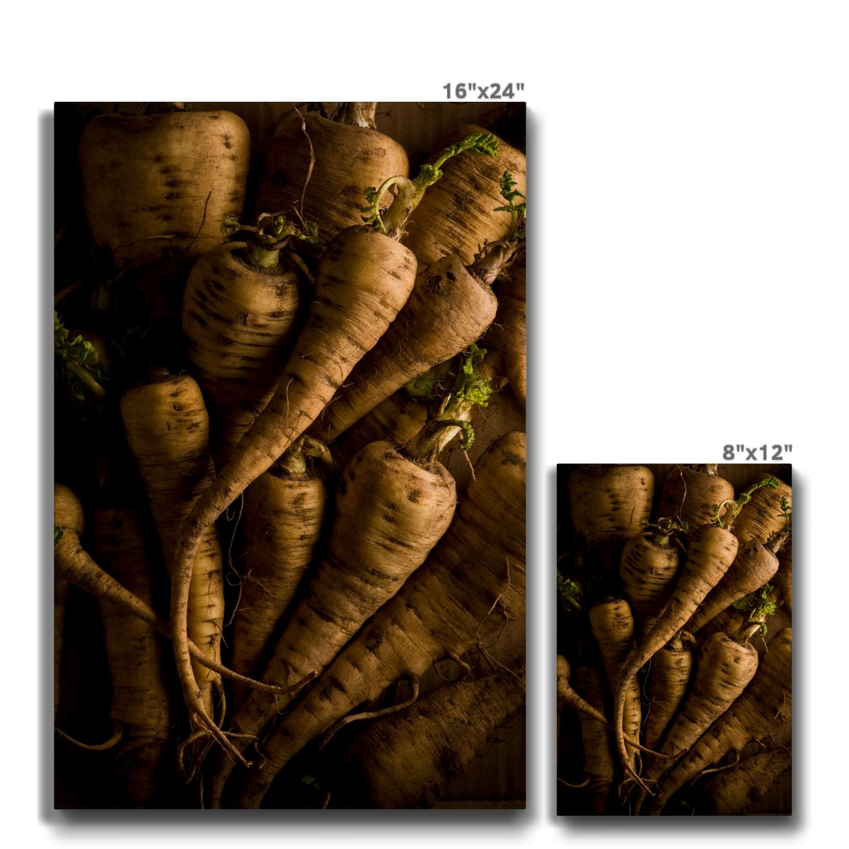 Parsnips - still life Canvas