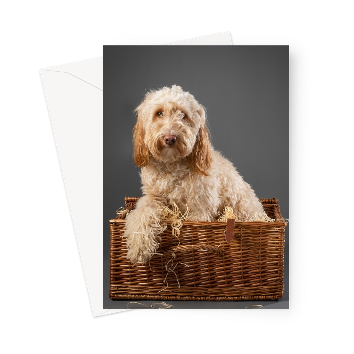 Cockapoo dog inside wicker picnic hamper Greeting Card