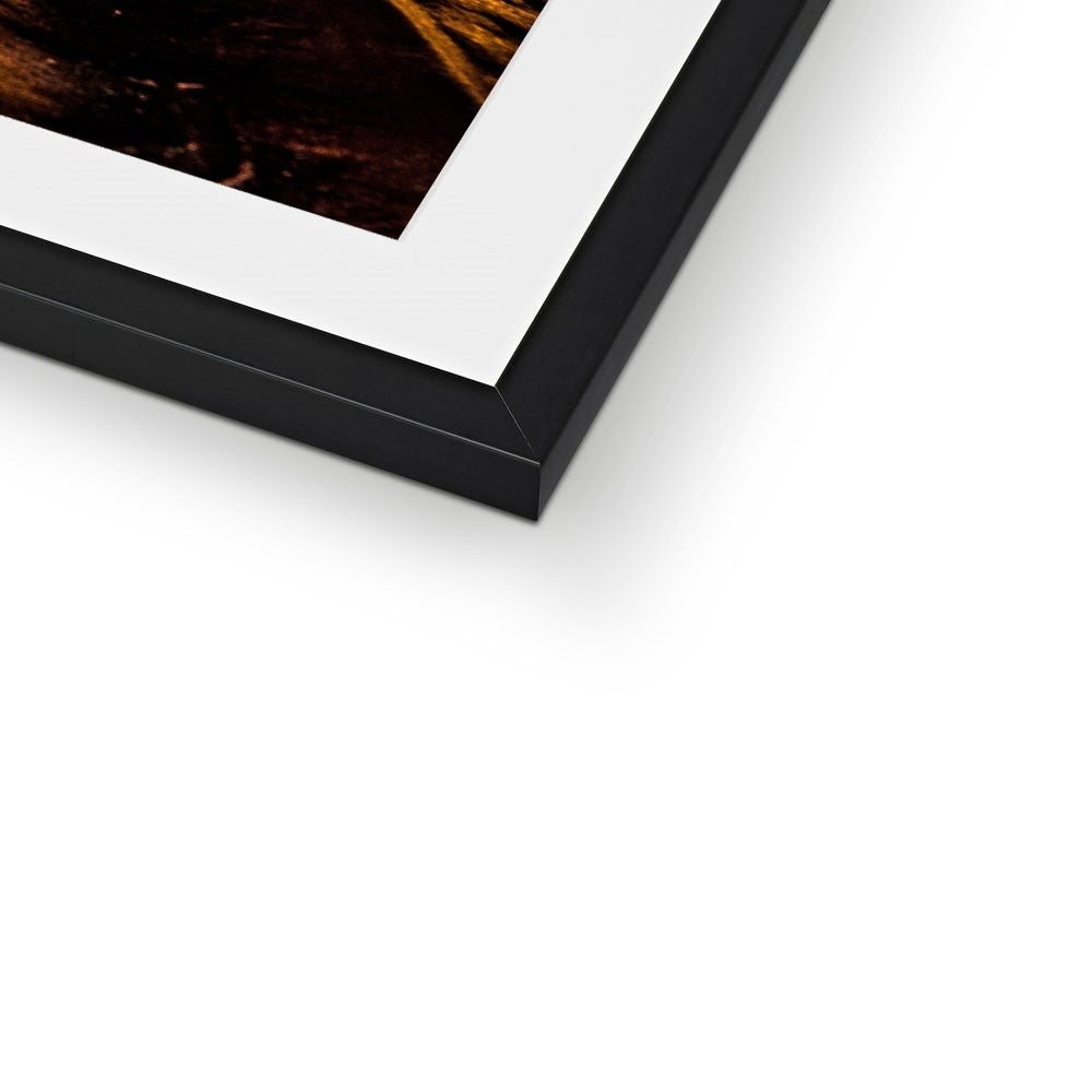 Blackpool Tower and Central Pier at night, with reflection of illuminations in water on the beach  UK. Framed & Mounted Print