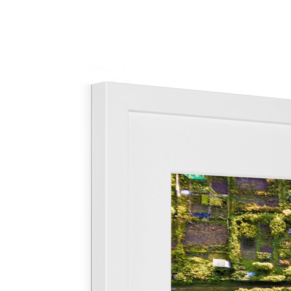Aerial view of allotments Framed & Mounted Print