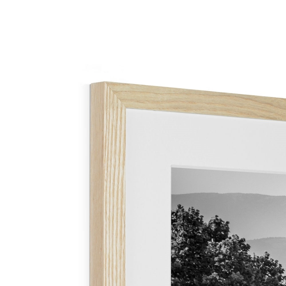 The south façade of Florence Cathedral glimpsed through the trees of San Miniato al Monte. Italy.  Framed & Mounted Print