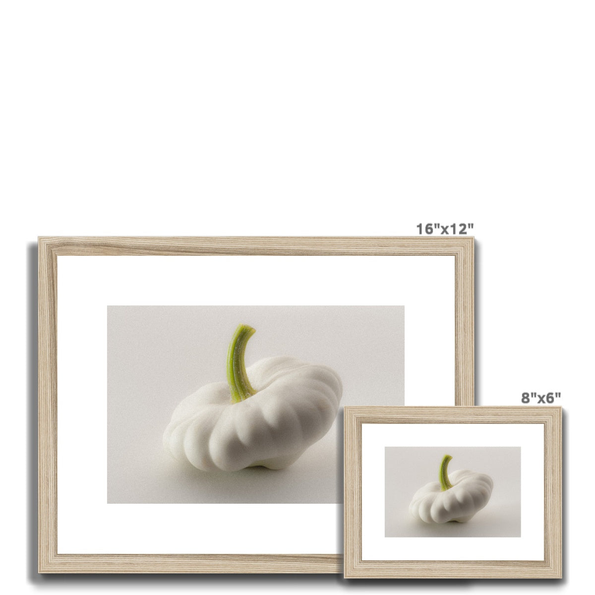 White pattypan squash on a white background Framed & Mounted Print