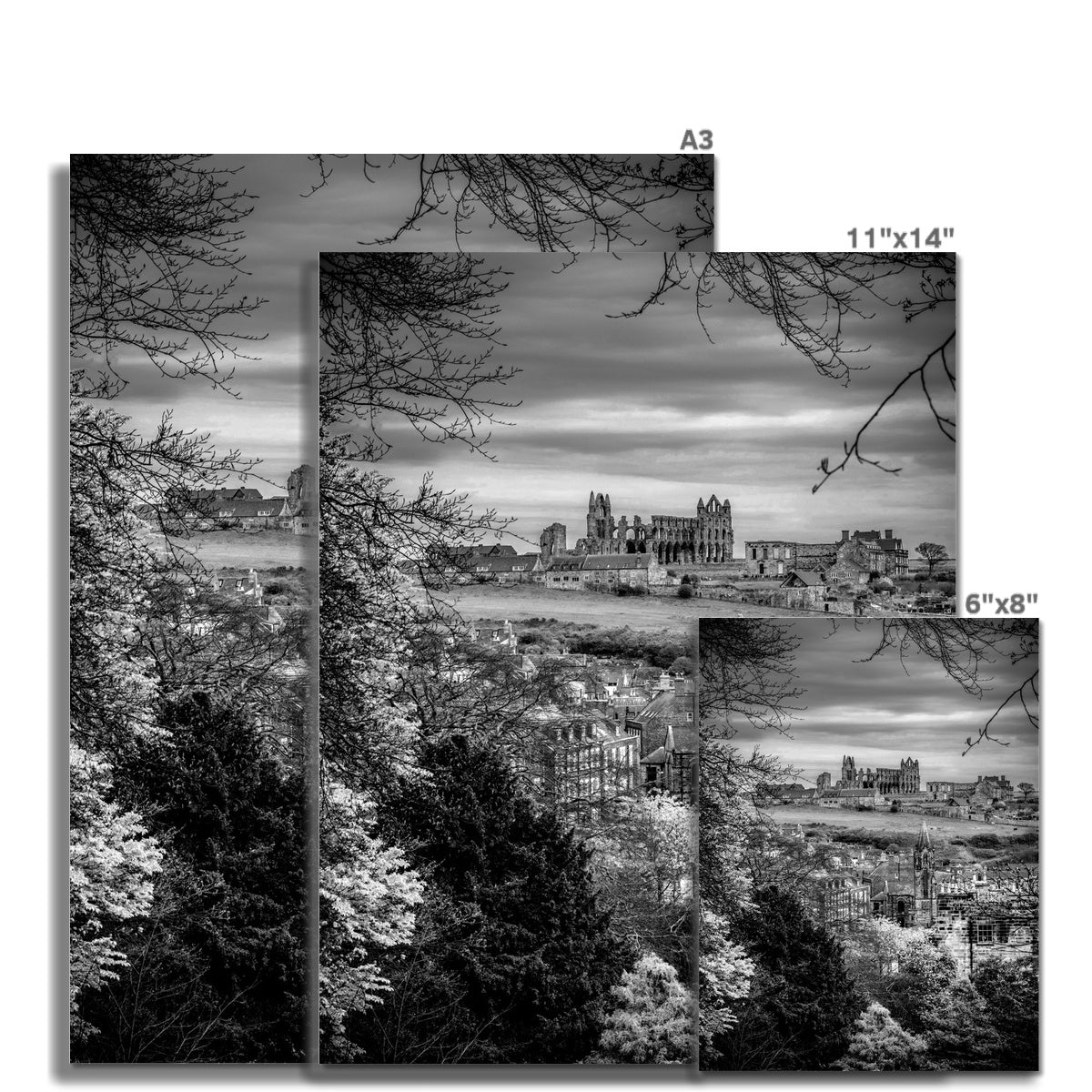 Whitby Abbey viewed from Pannett Gardens, Whitby, UK. Fine Art Print