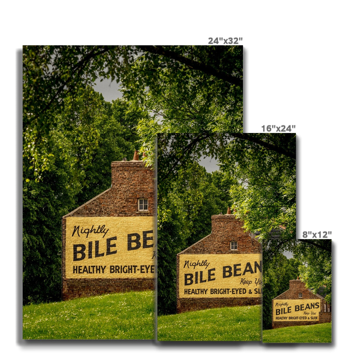 Bile Beans advertising sign, York. Canvas