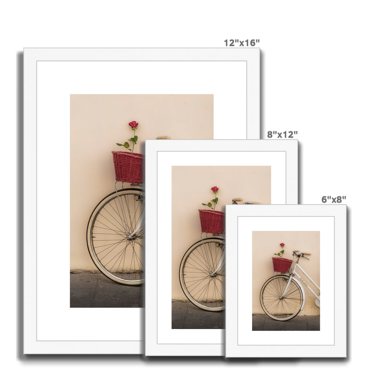 White bicycle parked against a  rendered wall with a red rose in its basket, Rome, Italy. Framed & Mounted Print