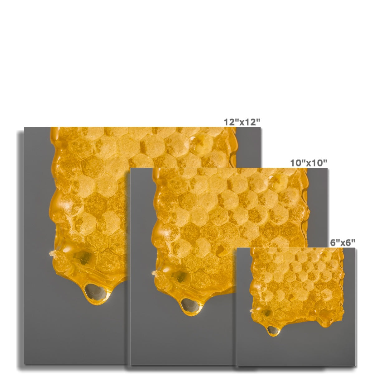 Natural honeycomb full of honey Fine Art Print
