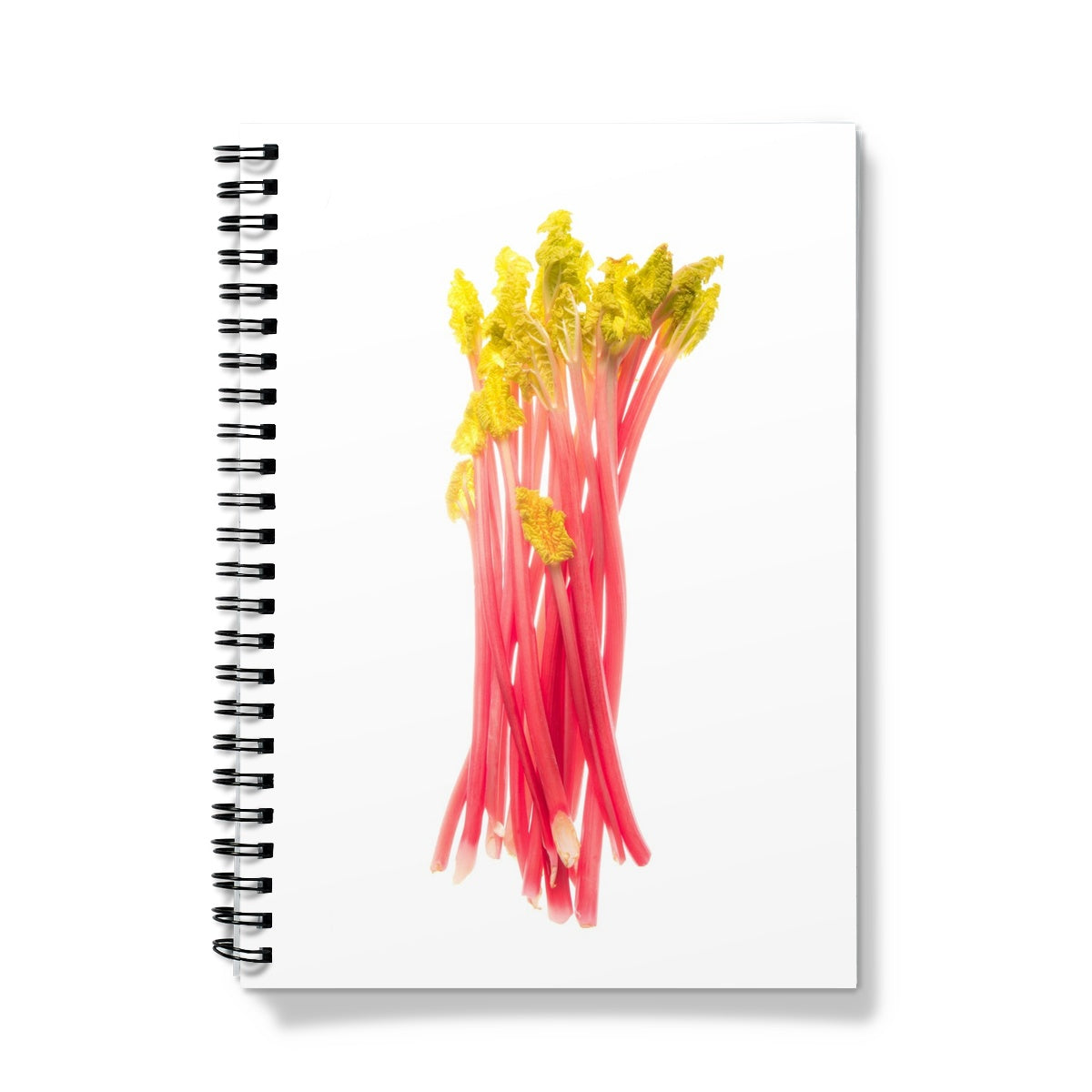 Early forced rhubarb Notebook