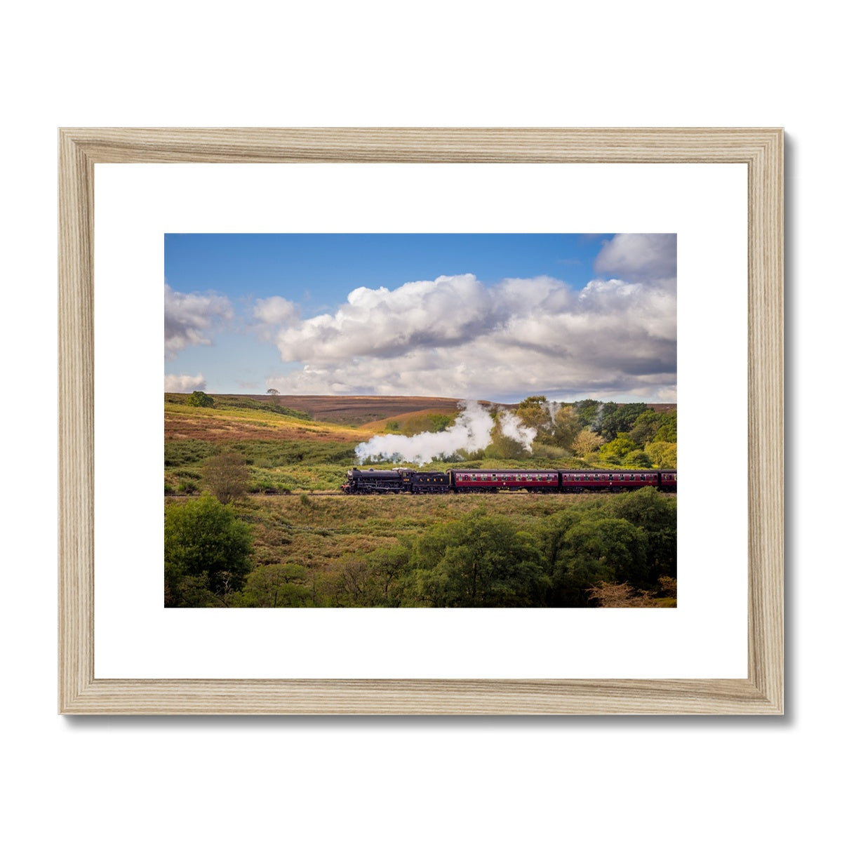 Steam Train: LNER Thompson Class B1 No. 1264  on the North Yorkshire Moors in summer. UK Framed & Mounted Print