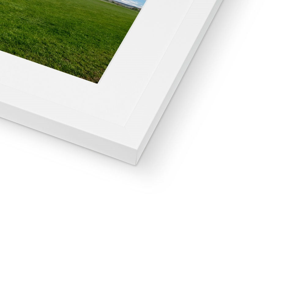 Single Tree, Yorkshire Dales Landscape Framed & Mounted Print