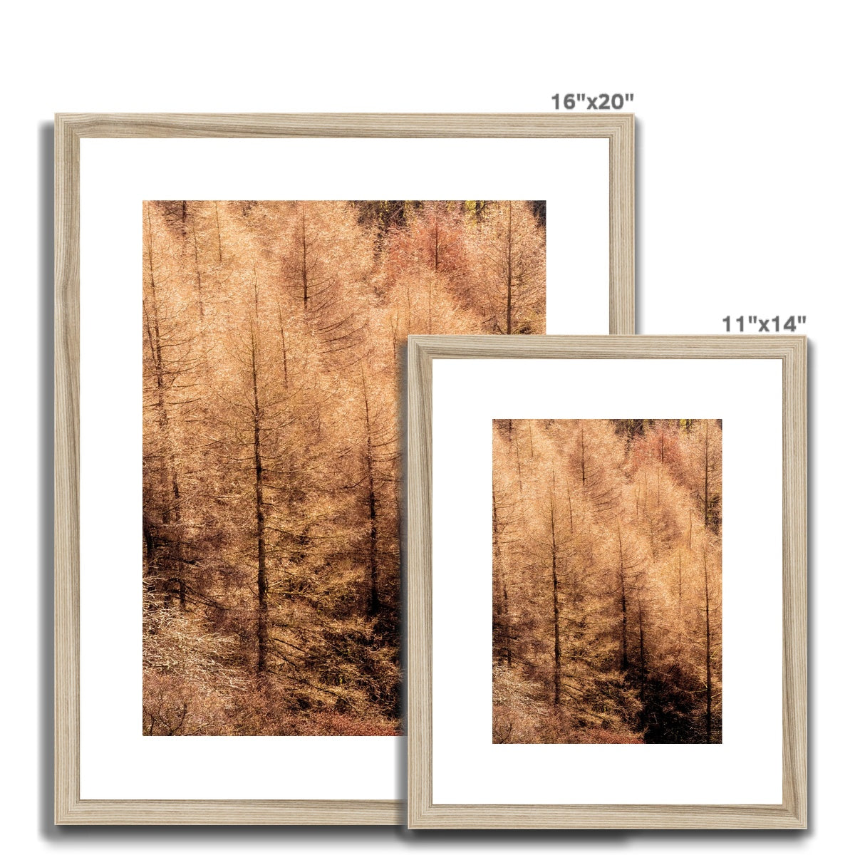 Winter trees Framed & Mounted Print
