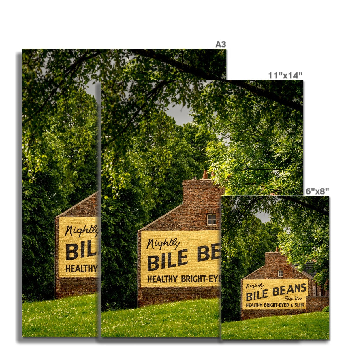 Bile Beans advertising sign, York. Fine Art Print