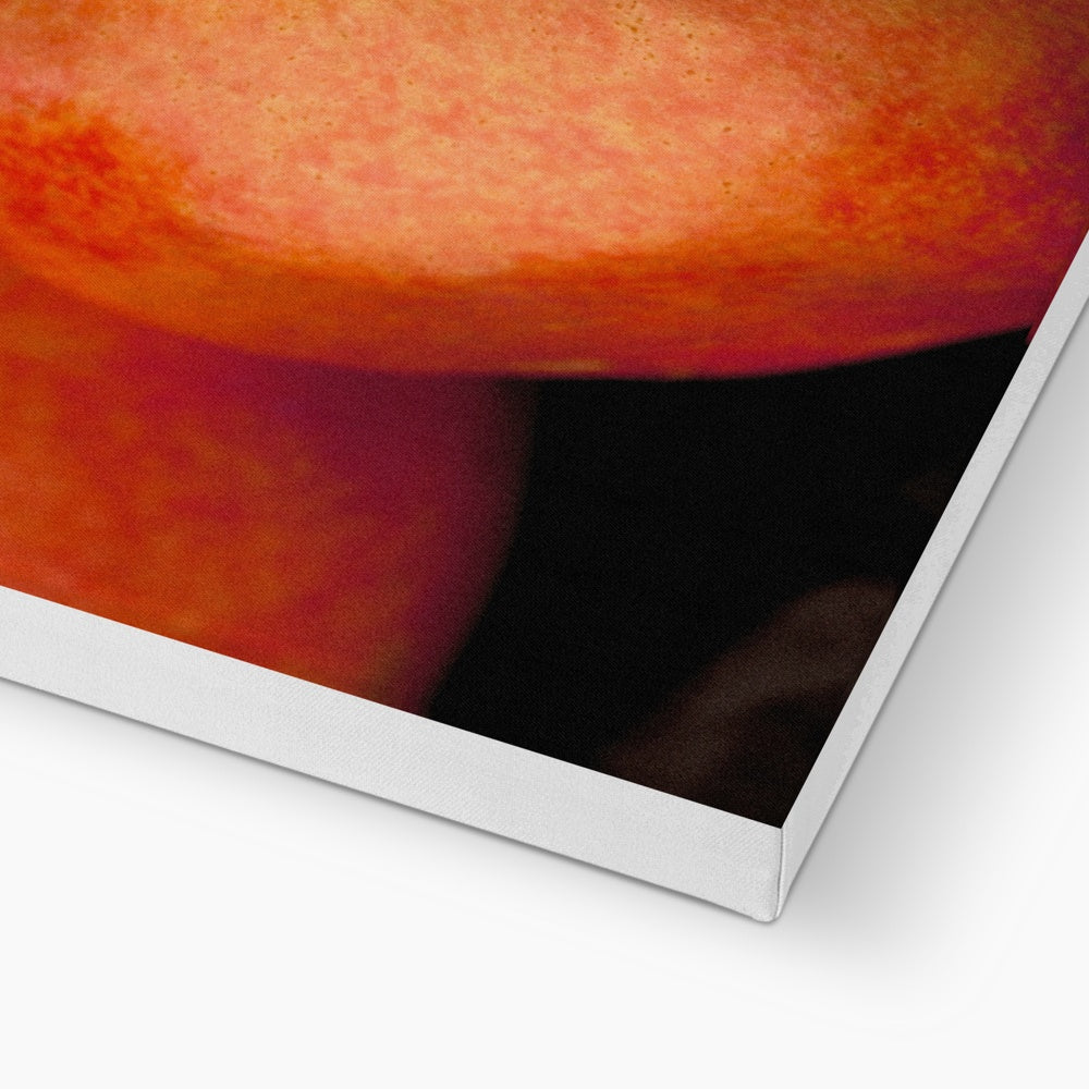 Pomegranates Canvas