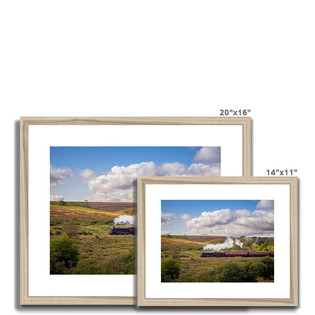 Steam Train: LNER Thompson Class B1 No. 1264  on the North Yorkshire Moors in summer. UK Framed & Mounted Print