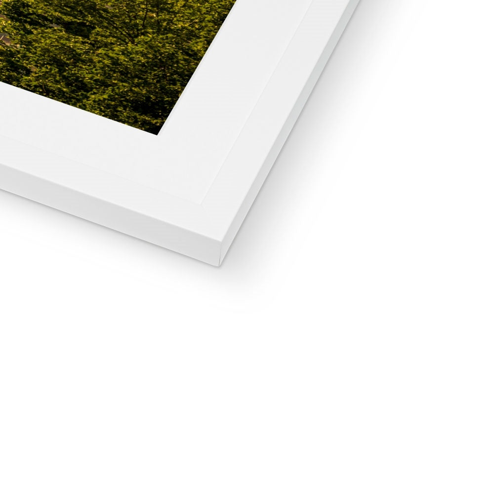 The south façade of Florence Cathedral glimpsed through the trees of San Miniato al Monte.  Italy. Framed & Mounted Print