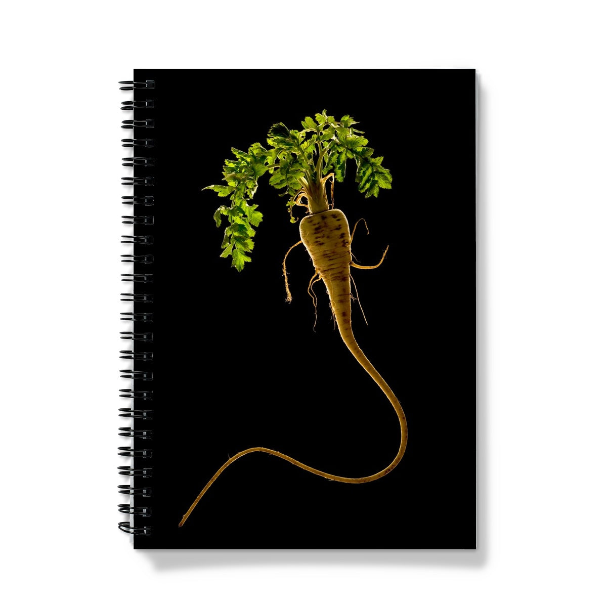 Quirky Parsnip Notebook