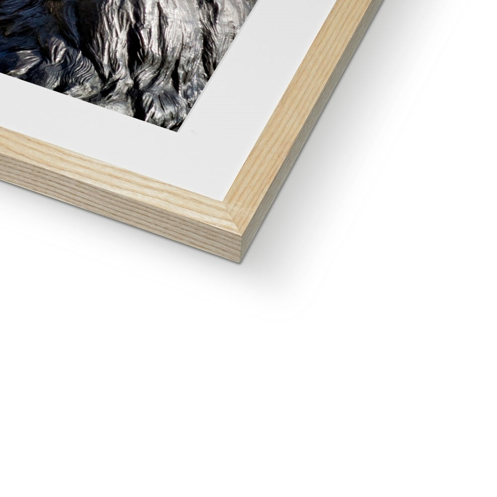 Lion statue in Trafalgar Square, with Big ben in background, London. Framed & Mounted Print