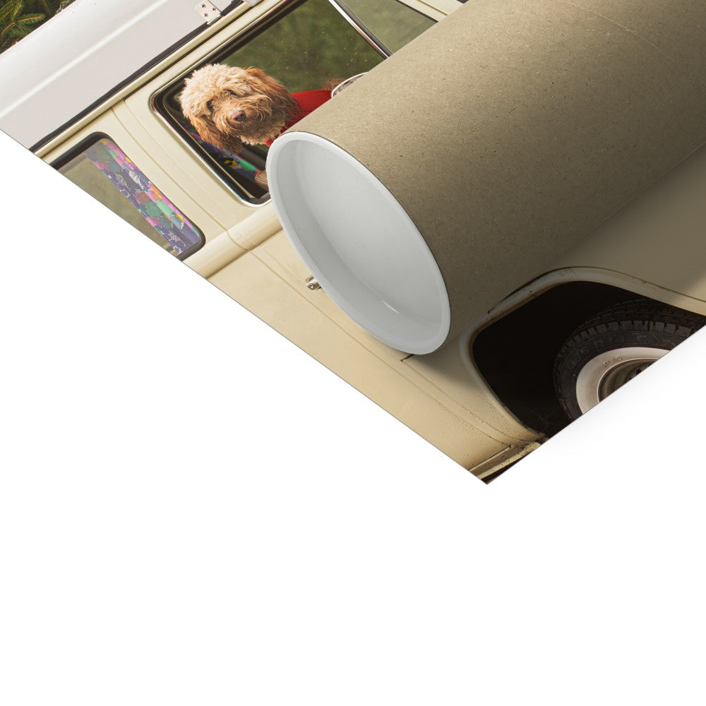 1972 VW Bay Window Campervan parked with with Christmas tree on roof and Cockapoo dog looking out of window. Fine Art Print