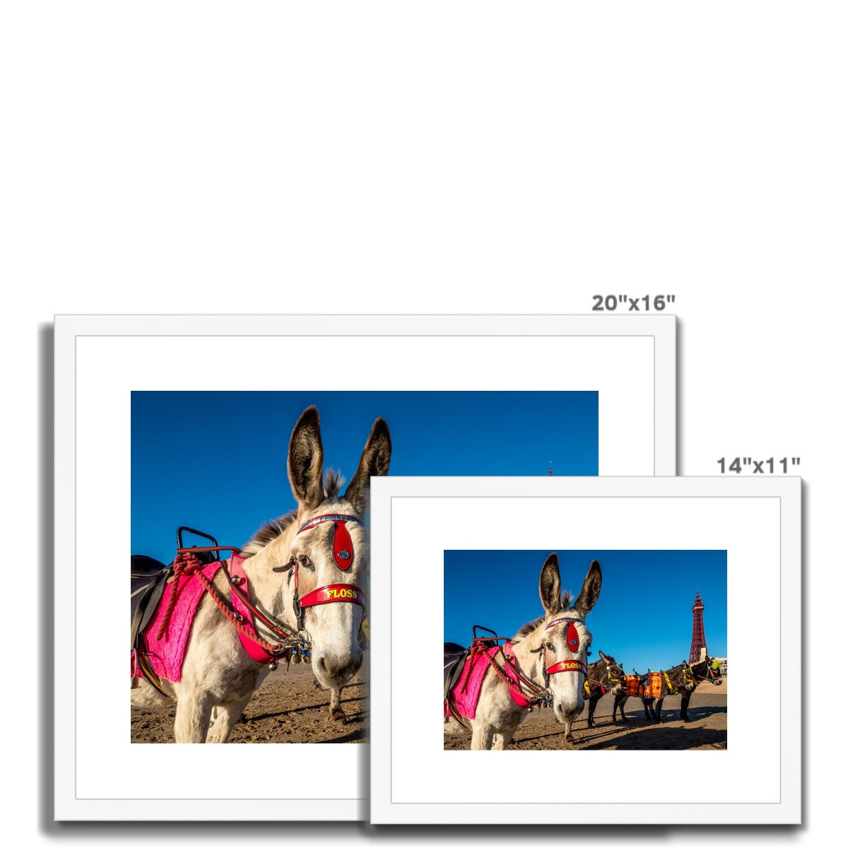 Donkeys on beach with Blackpool Tower Framed & Mounted Print