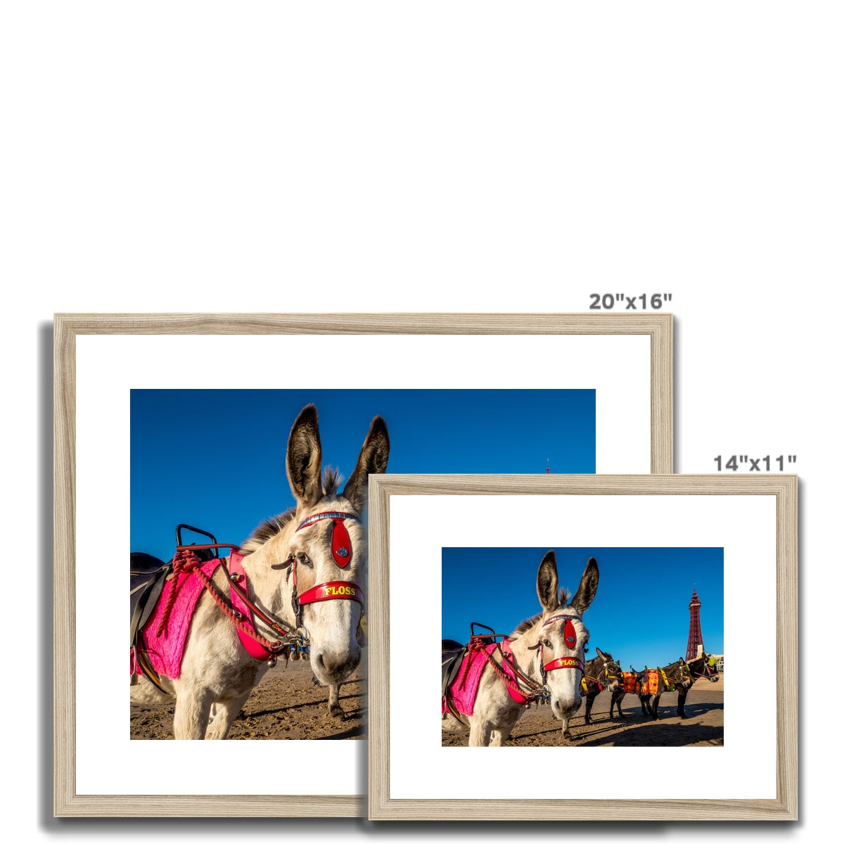 Donkeys on beach with Blackpool Tower Framed & Mounted Print